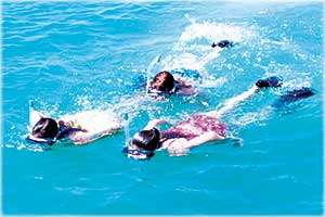 Key West Snorkeling eco Tour Key West Eco Snorkeling Tour